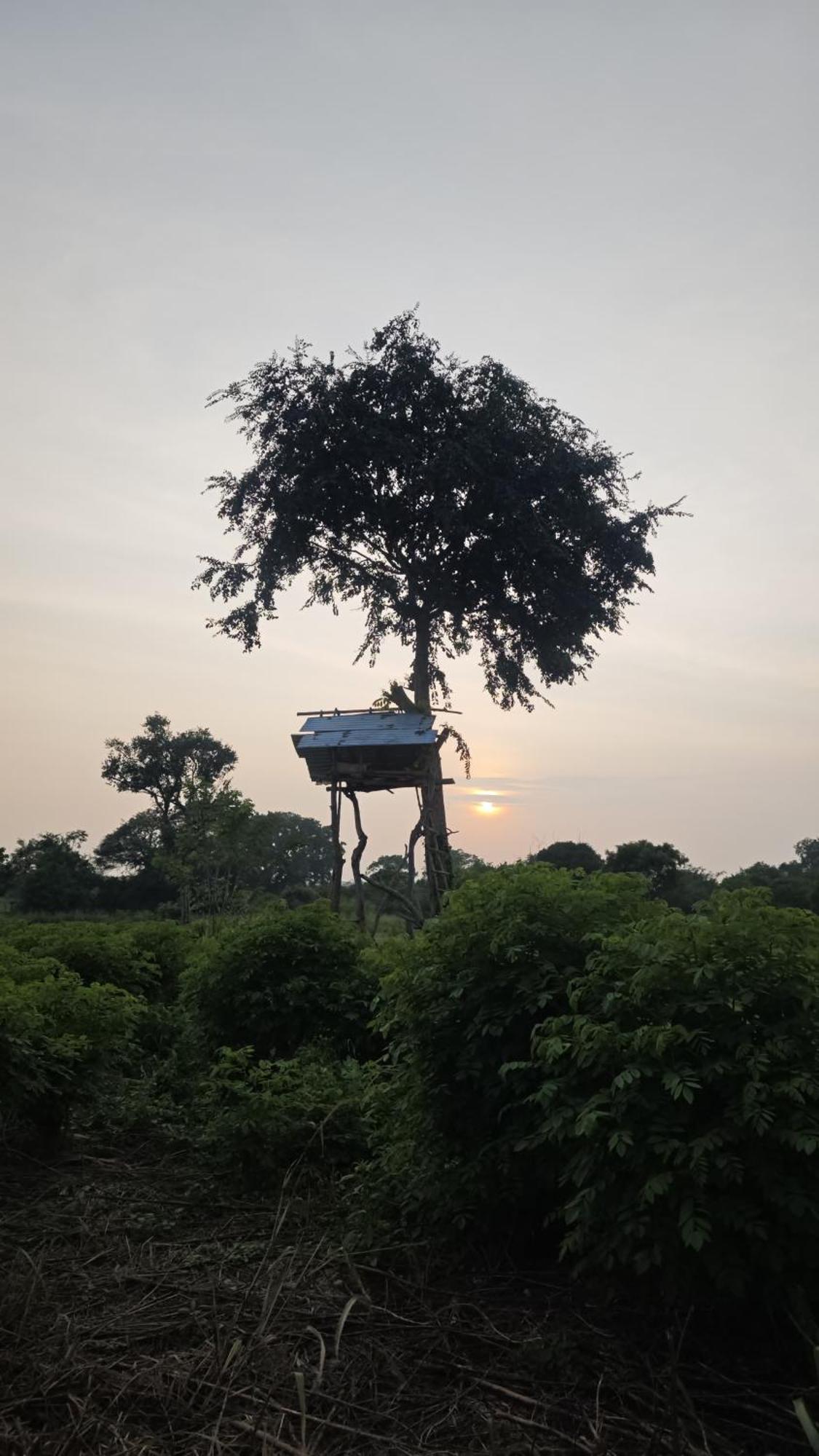 Kurumba Lodge Wilpattu Bilik gambar
